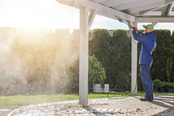 Animal Enclosure Cleaning in Gonzalez, FL